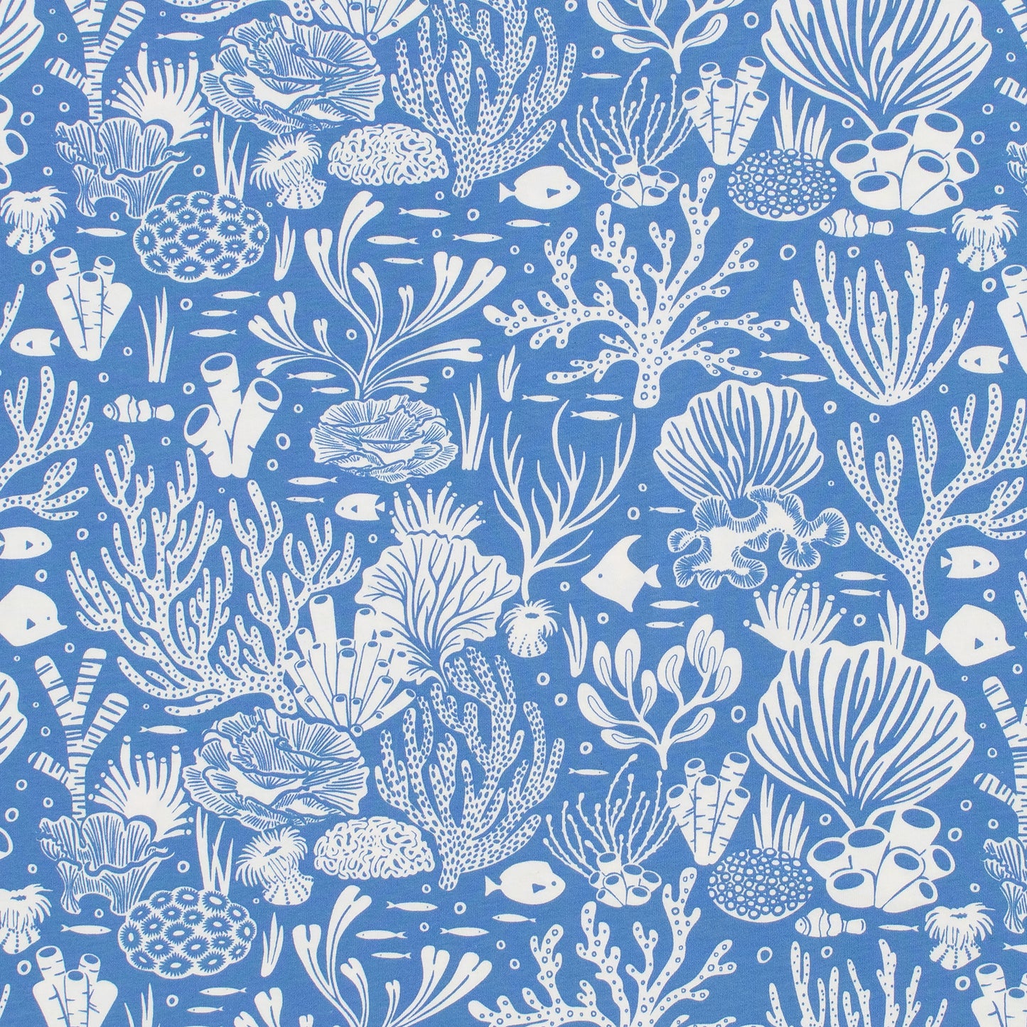 Bloomers - Corals Blue