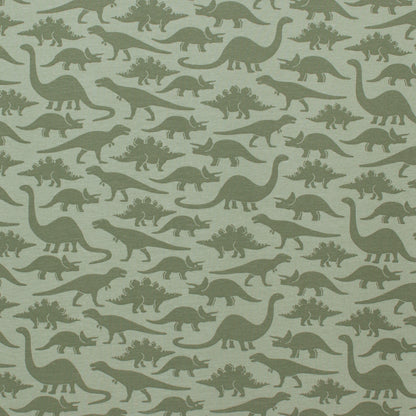 Long Sleeve Romper - Dinosaurs Sage